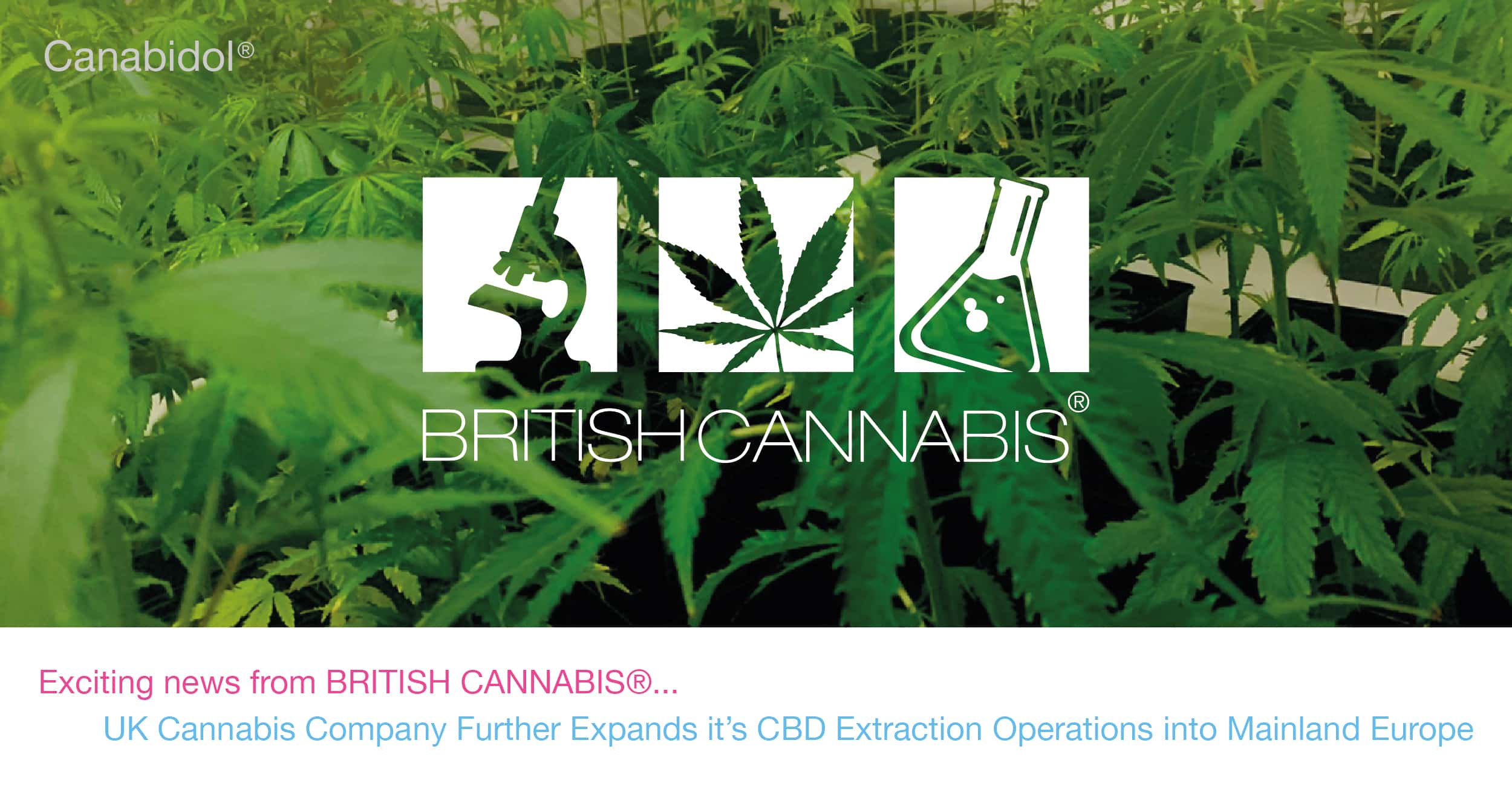 Canabidol UK Cannabis Company Further Expands 01 01 01 Canabidol UK Cannabis Company Further Expands 01 01 01