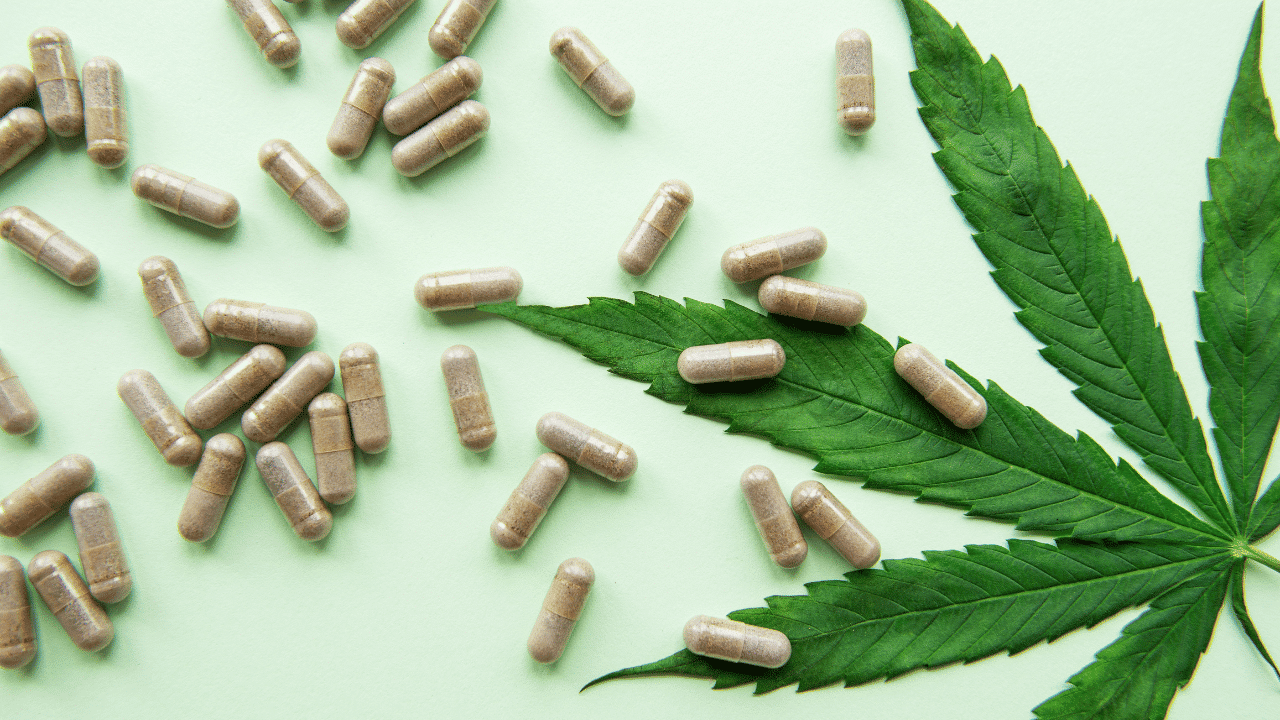 Does CBD Capsules Expire? Reveal Here CBD by BC No.1 CBD UK