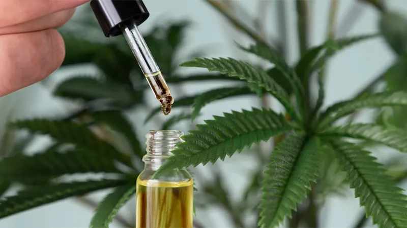 Whats the strongest CBD oil in the UK 1